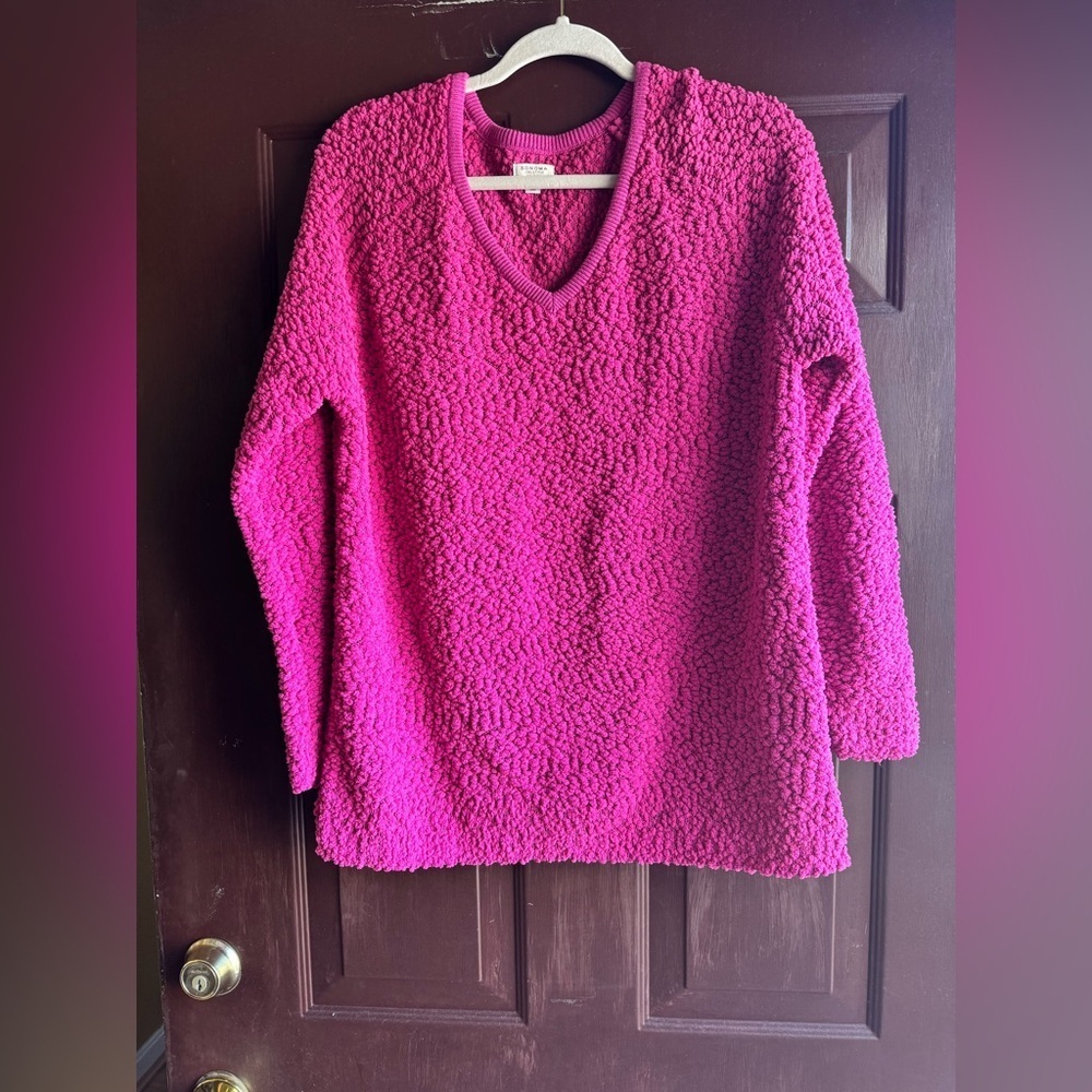 Sonoma V Neck Sweater Size Large